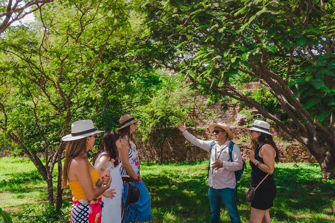 Essence Zapoteca Monte Albán, Barro Negro and Alebrijes for a day. - The transport, timing, and group experience