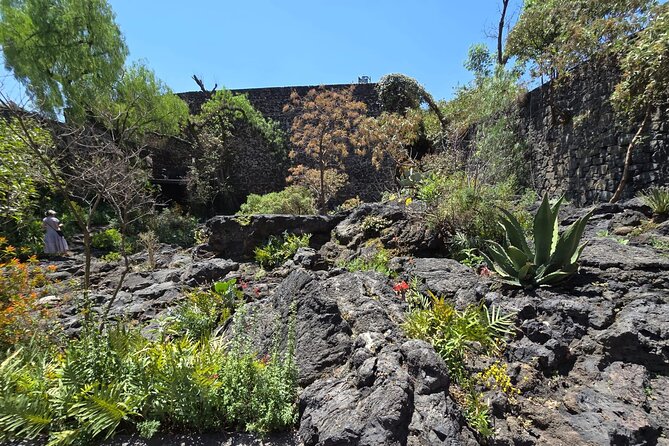 EXCLUSIVE TOUR Luis Barragán Casa Pedregal - small groups - The guides and the style of interpretation