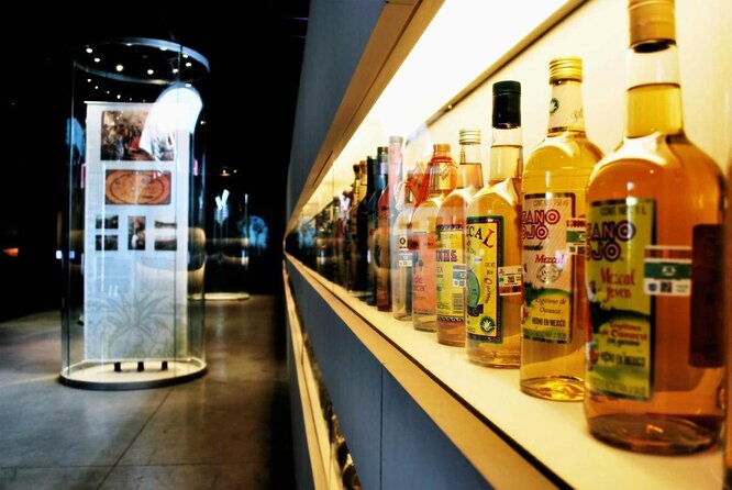 EXCLUSIVE TOUR Tequila & Mezcal - small groups - Key points to know before you book