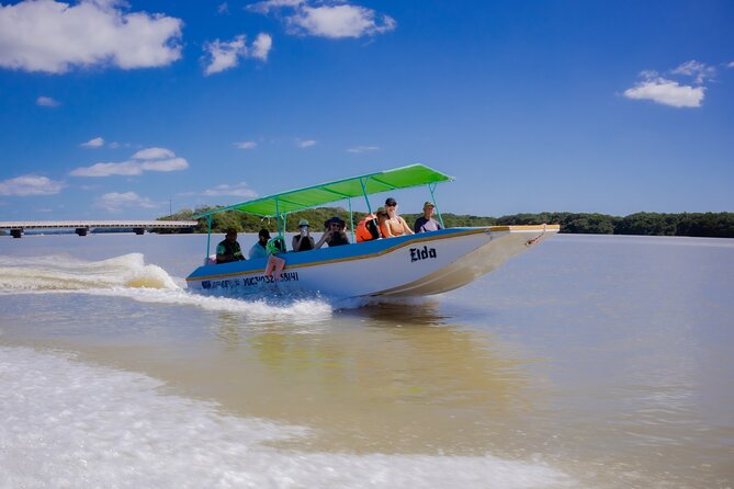 Excursion to Celestun Biosphere and Beach Day from Merida - Playa Norte for Lunch and a Slow Afternoon