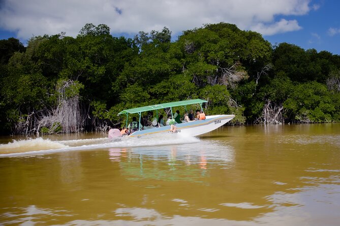 Excursion to Celestun Biosphere and Beach Day from Merida - Who Will Get the Most From This Celestún Trip