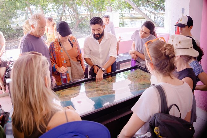 Excursion to Celestun Biosphere and Beach Day from Merida - Is the $71.69 Price Worth It?