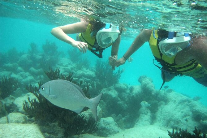 Exotik half a day tour: Cenote Cave and Swimming with Sea Turtles - Pickup details and the real time commitment