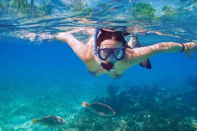 Exotik half a day tour: Cenote Cave and Swimming with Sea Turtles - Is $107.30 a fair price?