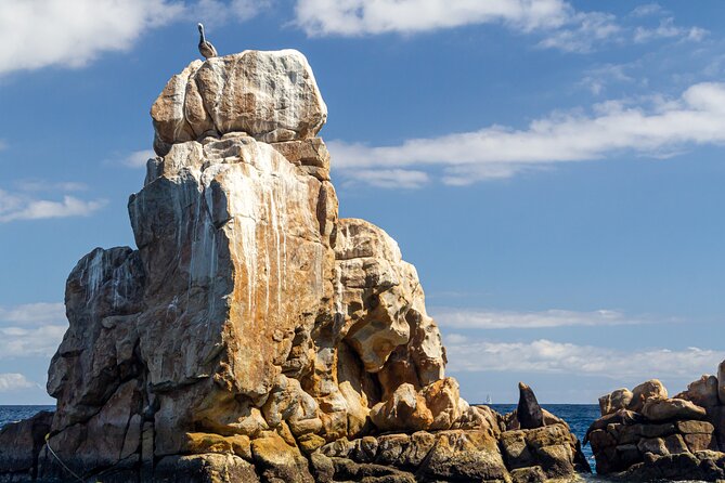Experience the Clear Boat adventure & Cabo San Lucas City Tour - Tequila, Tacos, and Added Spending