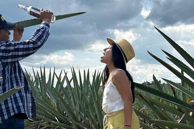 Explore Hierve el Agua, Mitla, Tule, Textile and Mezcal for a day - The buffet lunch: useful, but not included