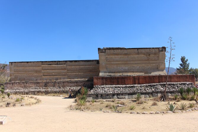 Explore Hierve el Agua, Mitla, Tule, Textile and Mezcal for a day - Mezcal in Matatlán, from agave to tasting glass