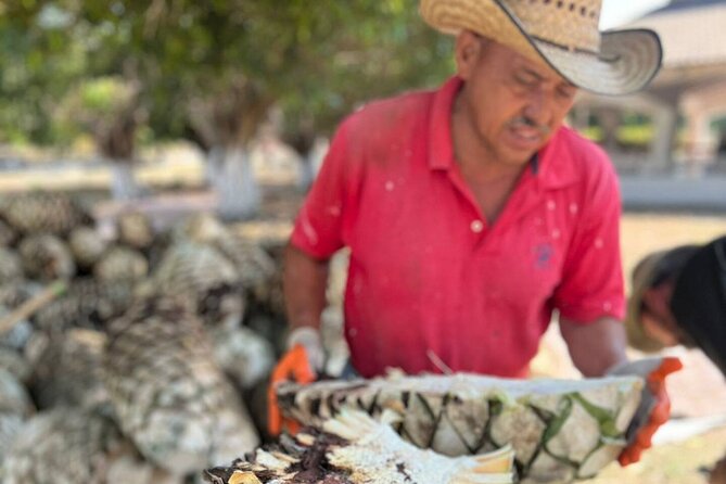 Finca 18 Puerto Vallarta Tequila Tour + Chocolate Pairing - From Agave Nursery to Distillery