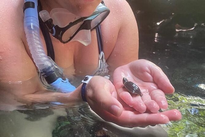 Five Cenotes Jungle Experience in the Riviera Maya - Why these five cenotes feel different