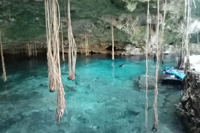 Five Cenotes Jungle Experience in the Riviera Maya - Starting in central Playa del Carmen at 11 a.m.