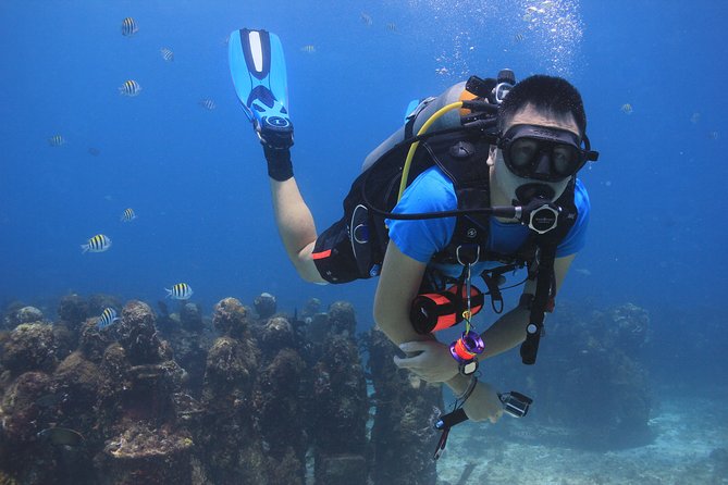 For certified Divers Experience the Under Water Museum and the Manchones Reef - Why the four-person limit matters