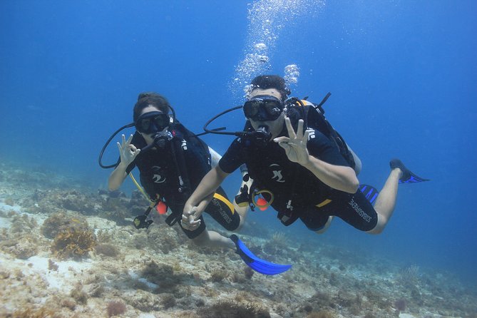 For certified Divers Experience the Under Water Museum and the Manchones Reef - What the high rating tells you, and what it does not