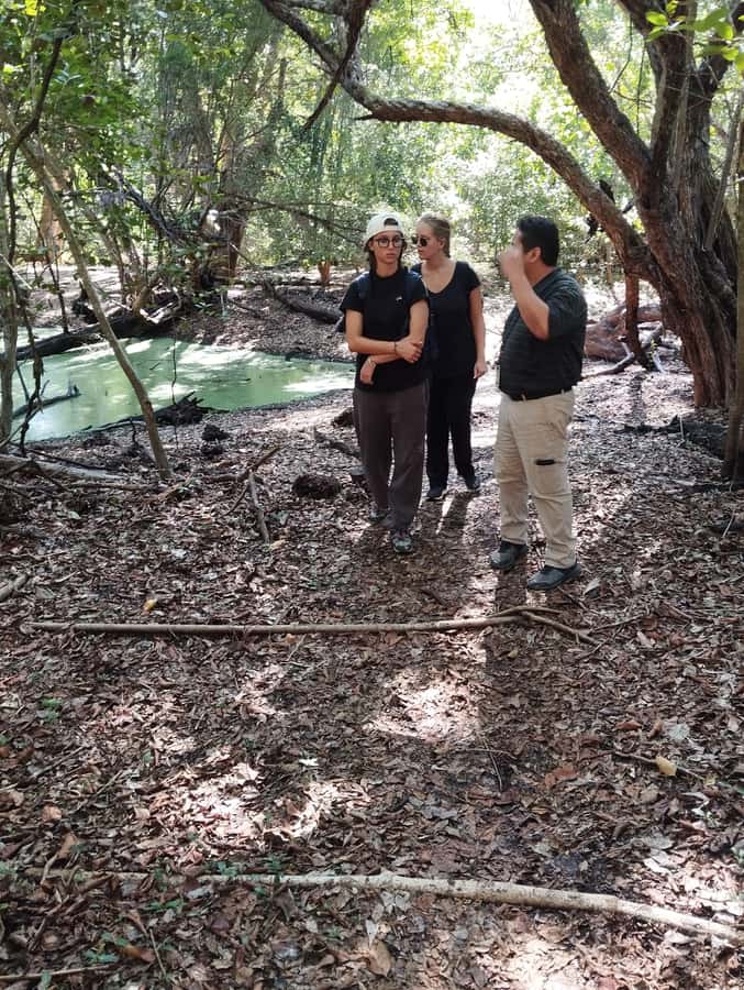 From Bacalar: Calakmul Ruins Expedition & Jungle Trek - How the guides shape the day