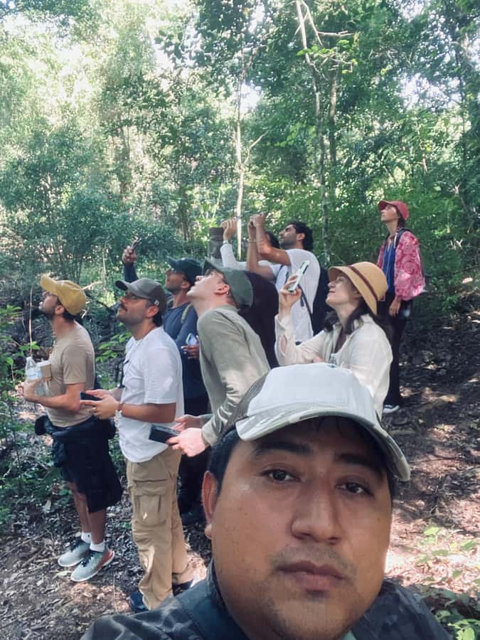 From Bacalar: Calakmul Ruins Expedition & Jungle Trek - Why Calakmul is worth the long ride from Bacalar