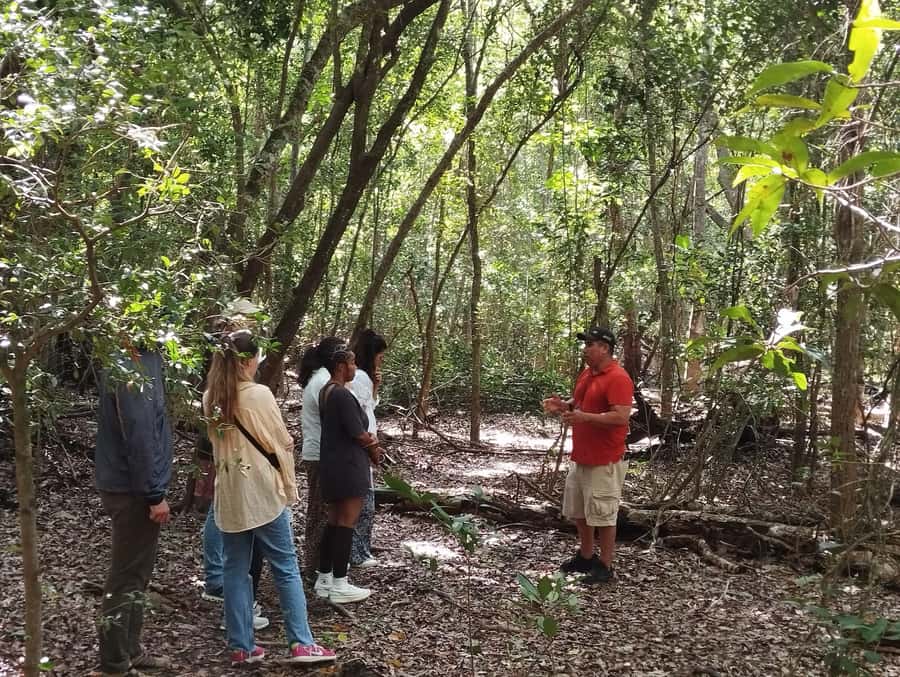 From Bacalar: Calakmul Ruins Expedition & Jungle Trek - The ride back and the real cost