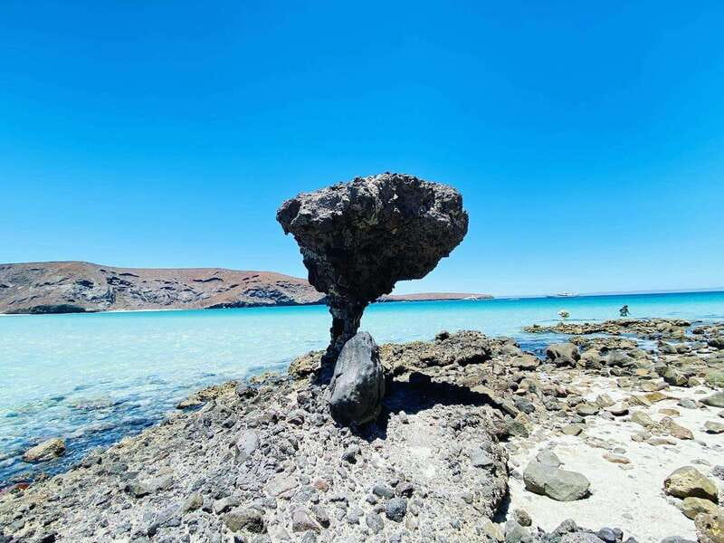 From Cabo/San José del Cabo: La Paz, Balandra & Todos Santos - Coromuel Beach adds a second coastal stop