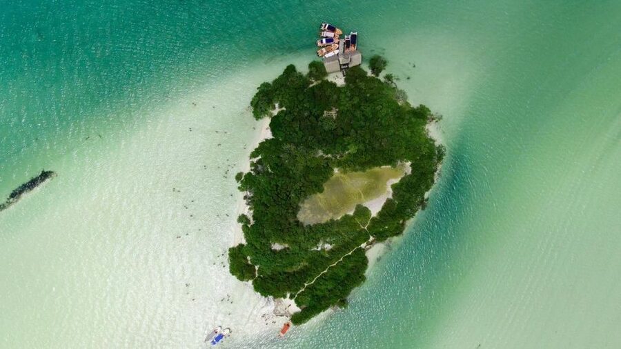 From Cancun or Puerto Morelos: Holbox Boat Tour with Lunch - How the day feels in practice
