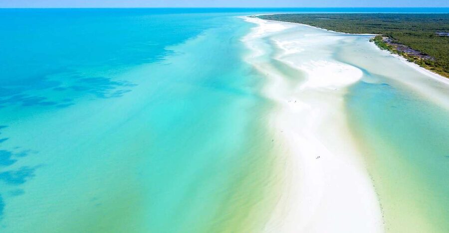 From Cancun or Puerto Morelos: Holbox Boat Tour with Lunch - Why this Holbox day trip works