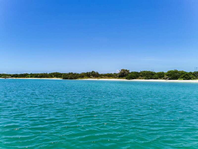 From Cancún: Rio Lagartos & Las Coloradas Day Trip & Lunch - Six hours on the road from Cancún
