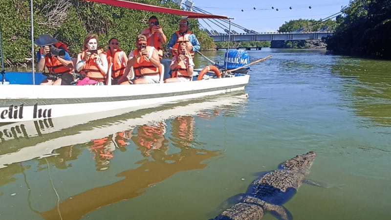 From Cancún: Rio Lagartos & Las Coloradas Day Trip & Lunch - Who should book this day trip?