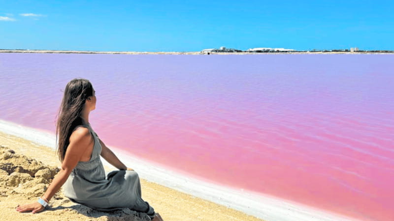 From Cancún: Rio Lagartos & Las Coloradas Day Trip & Lunch - Should you book it?