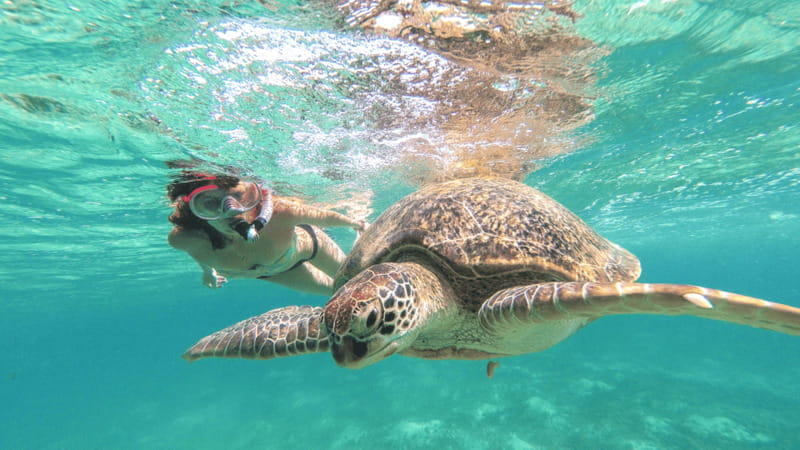 From Cancun: Tulum and Akumal Cenote and Turtle Swim Tour - Who should book this Cancun day trip?