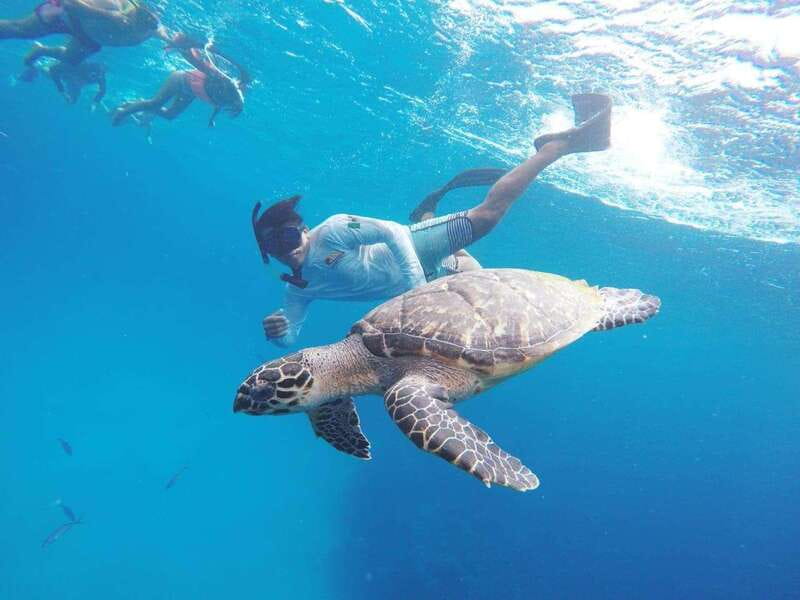 From Cozumel: 3 Reefs Boat Tour with Drinks and Snorkeling - Three reefs, one easy half-day