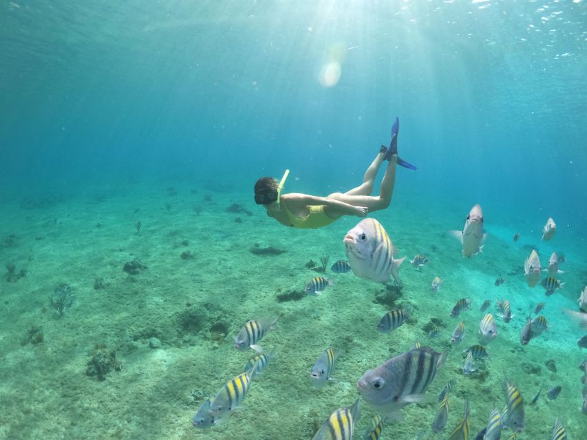 From Cozumel: 3 Reefs Boat Tour with Drinks and Snorkeling - Playa El Cielo: starfish, sand, and clear water