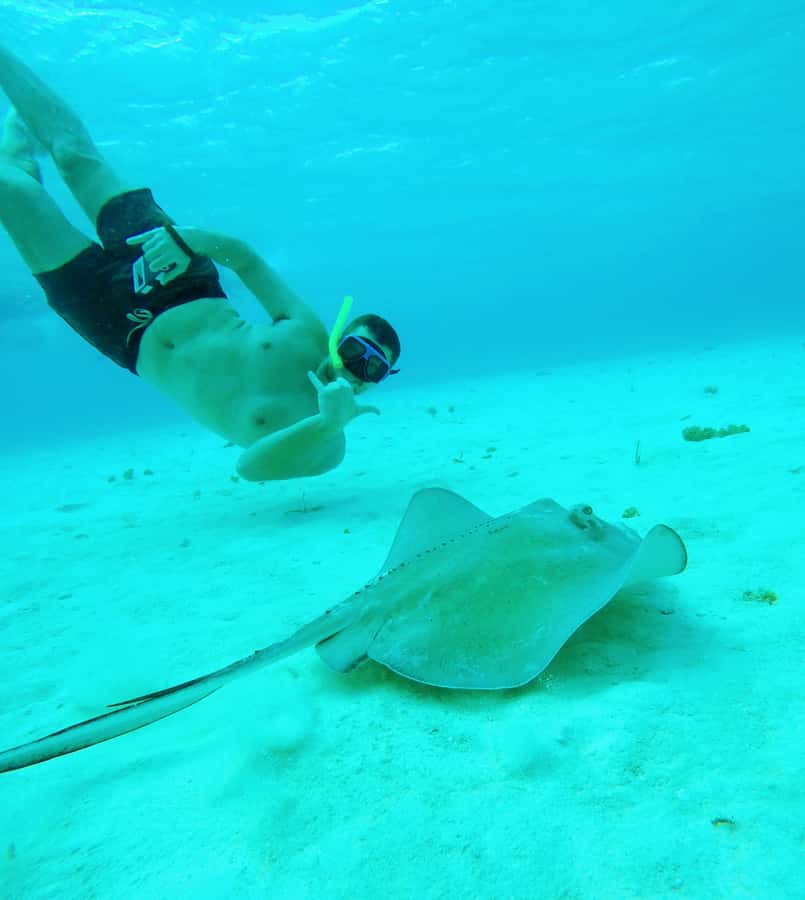 From Cozumel: Starfish, Stingrays and the Turtle Sanctuary - The boat ride to Playa Palancar