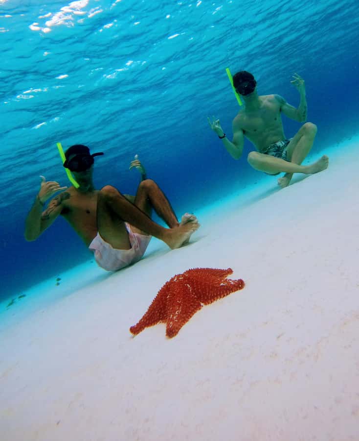 From Cozumel: Starfish, Stingrays and the Turtle Sanctuary - Guides, safety, and the feel of the group