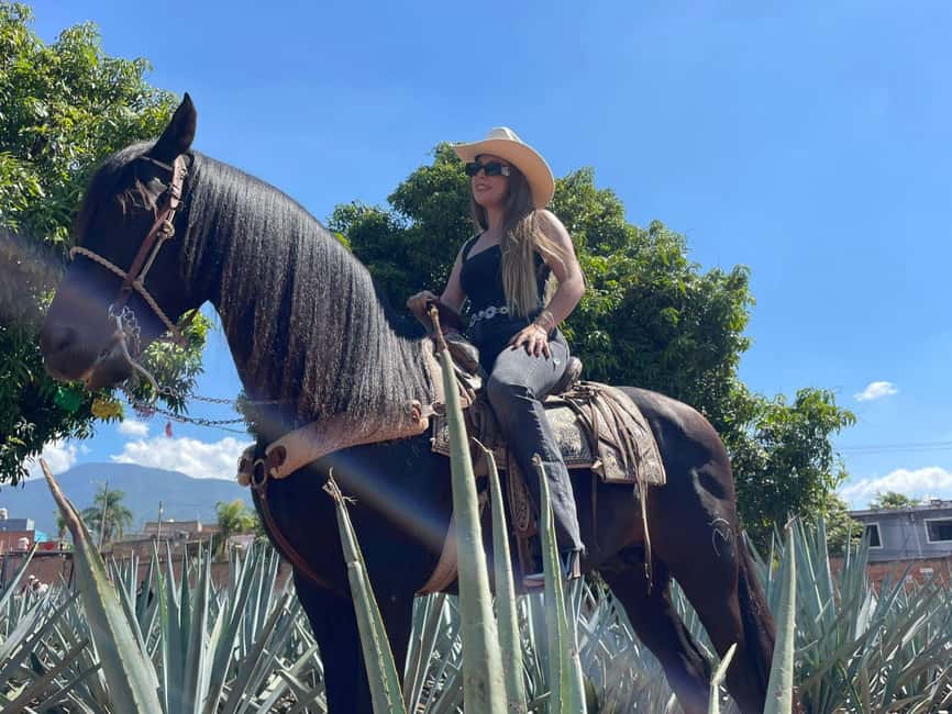 From Guadalajara: Tequila Town and Cantaritos El Guero - Key points to know before you go
