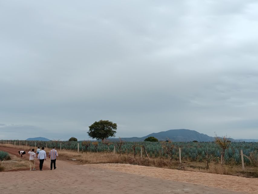 From Guadalajara: Tequila Town and Cantaritos El Guero - Timing, group size, and what to pack
