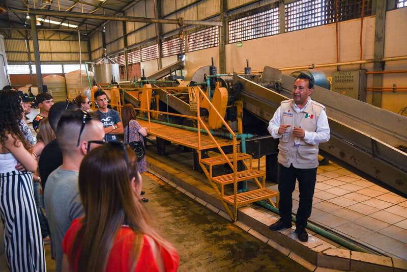 From Guadalajara: Tequila Trail Tour with Tasting - Key points at a glance