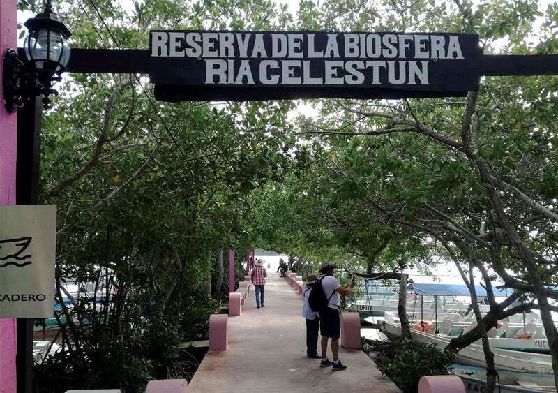 From Mérida: Ria Celestun Biosphere Reserve Tour - Key points to know before booking