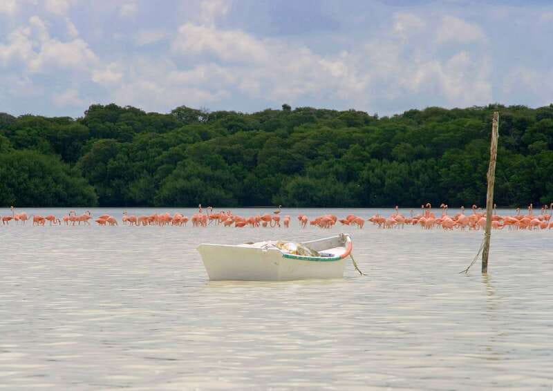From Mérida: Ria Celestun Biosphere Reserve Tour - Celestún Beach, lunch, and freshwater swimming