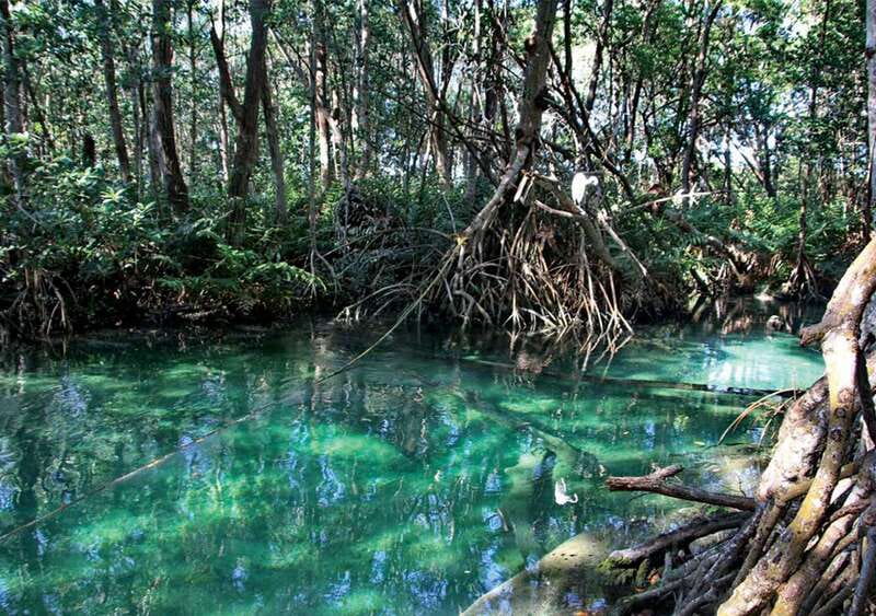 From Mérida: Ria Celestun Biosphere Reserve Tour - Who will enjoy this day most