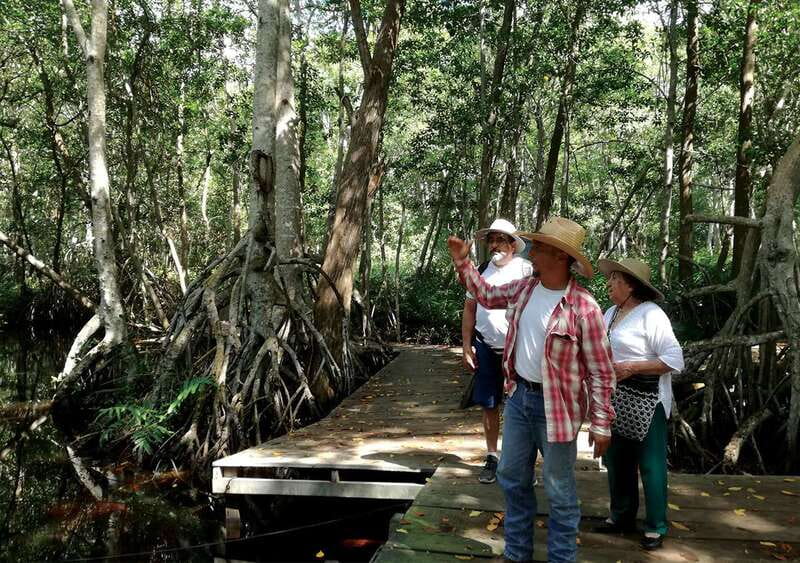 From Mérida: Ria Celestun Biosphere Reserve Tour - Timing, comfort, and small practical tips