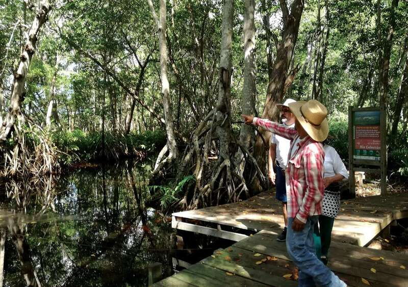 From Mérida: Ria Celestun Biosphere Reserve Tour - The Mérida pickup and the road west