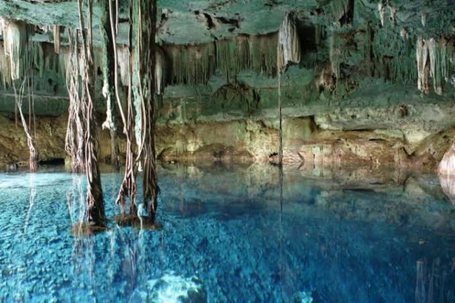 From Mérida:Uxmal and amazing cenotes guided tour with lunch - The cave cenote is the adventurous stop
