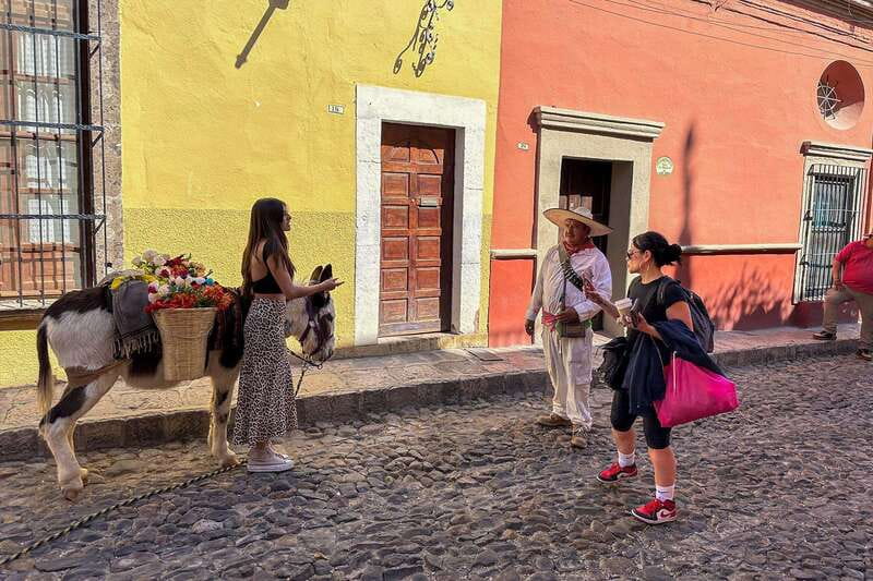 From Mexico City: San Miguel de Allende Day Trip - Why San Miguel de Allende makes a memorable day trip