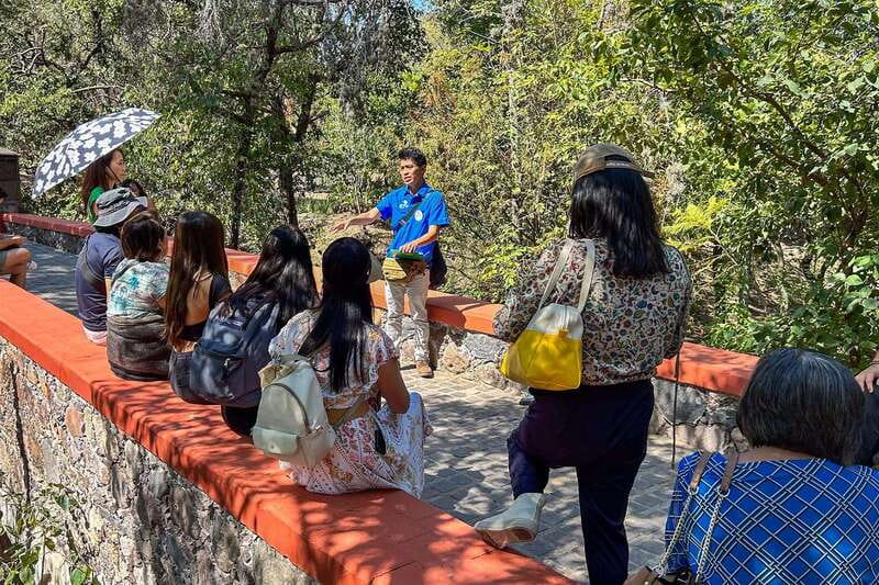 From Mexico City: San Miguel de Allende Day Trip - Cobblestones, colonial streets, and city viewpoints