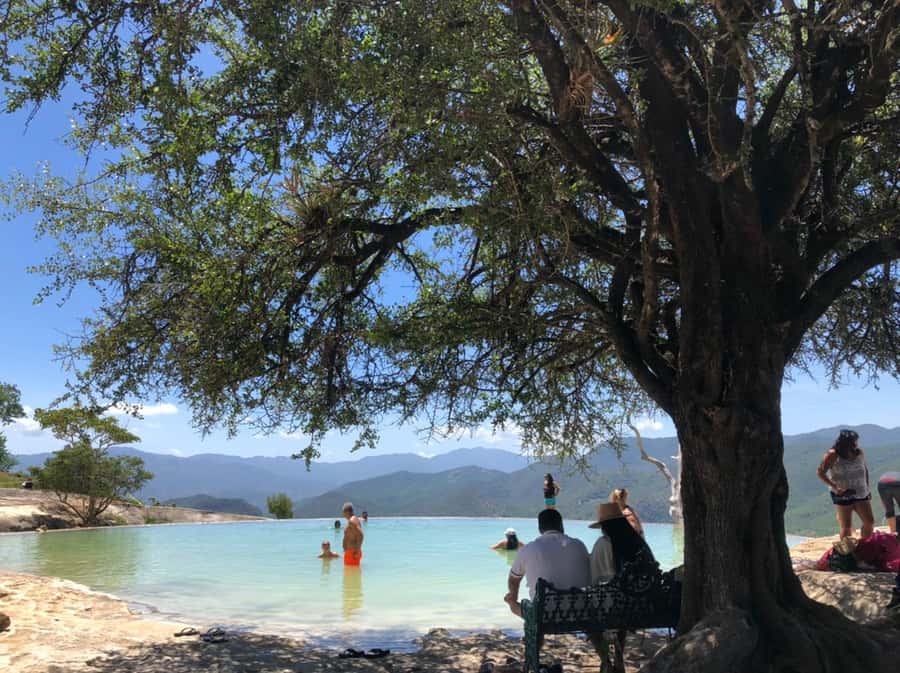 From Oaxaca de Juarez: Hierve el Agua and Mezcal Distillery - Three hours among the pools and rock terraces