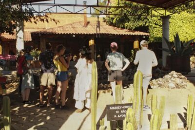 Hierve el Agua and Mezcal Distillery