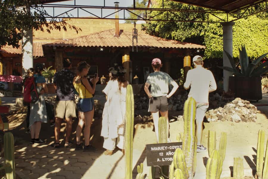 From Oaxaca de Juarez: Hierve el Agua and Mezcal Distillery - The 105-minute journey from Oaxaca