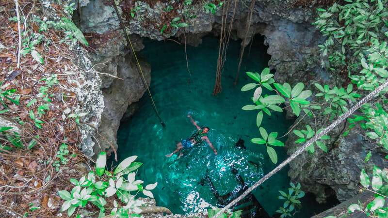 From Riviera Maya: 3 Cenotes Adventure Tour with Lunch - Casa Cenote: open water, fish, and wildlife