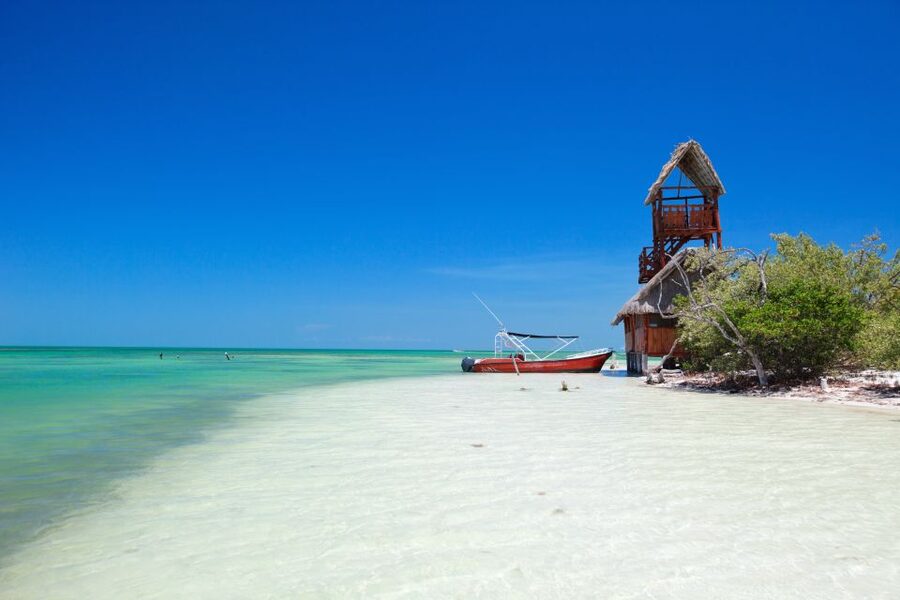 From Riviera Maya: Holbox Full-Day Tour with Lunch - Isla Pasión and the first look at Holbox wildlife