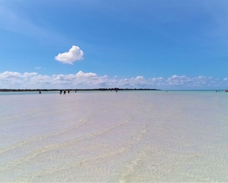 From Riviera Maya: Holbox Full-Day Tour with Lunch - Two hours to wander Holbox town