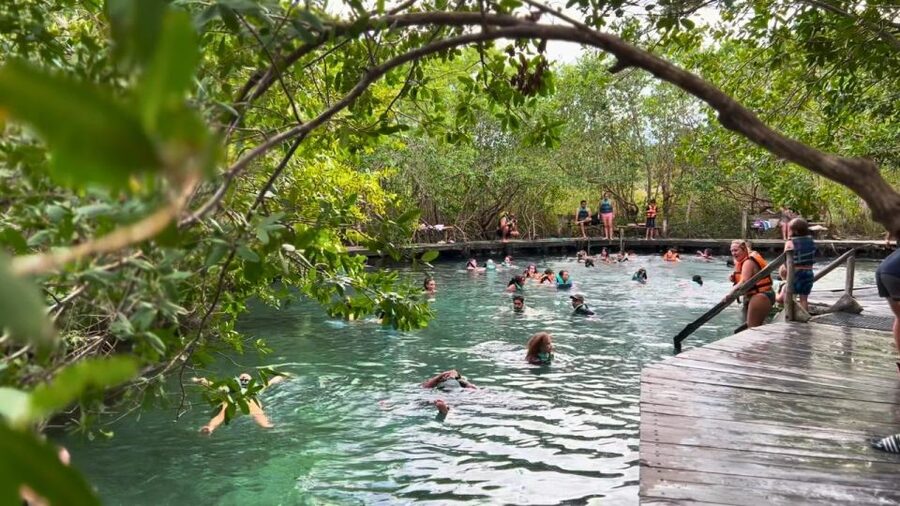 From Riviera Maya: Holbox Full-Day Tour with Lunch - How the guides shape the day