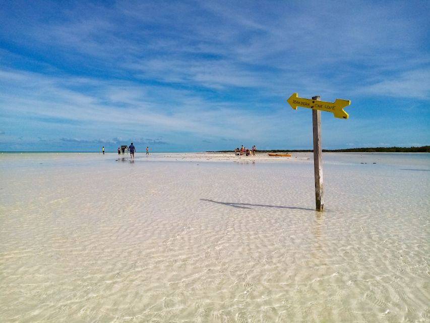 From Riviera Maya: Holbox Full-Day Tour with Lunch - Pickup from Tulum, Playa del Carmen, and the Riviera Maya