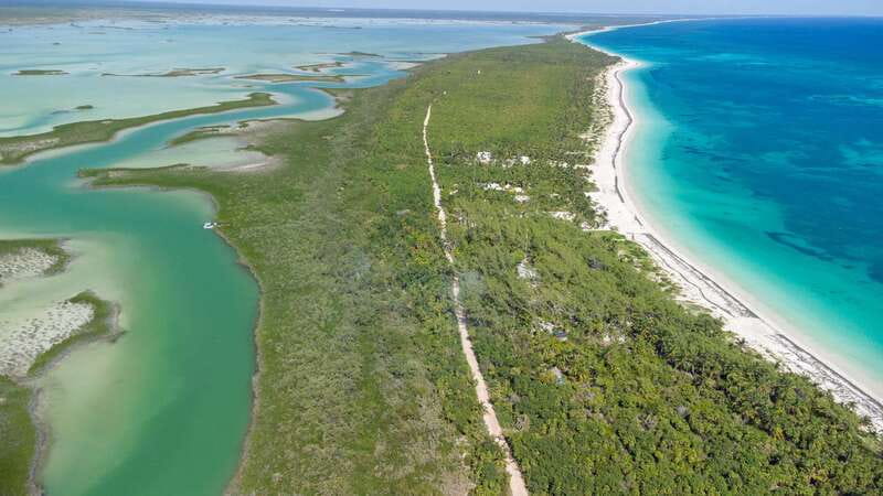 From Riviera Maya: Sian Ka'an Half Day Tour w/ Lunch - What the $204 price really buys